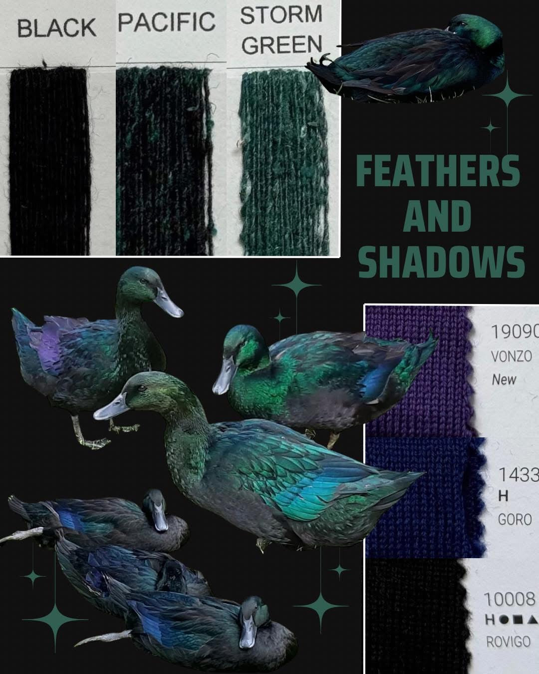 Darlings ‘Feathers and Shadows’