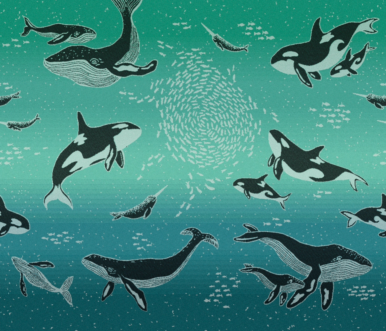 Whales ‘Teal Tides’