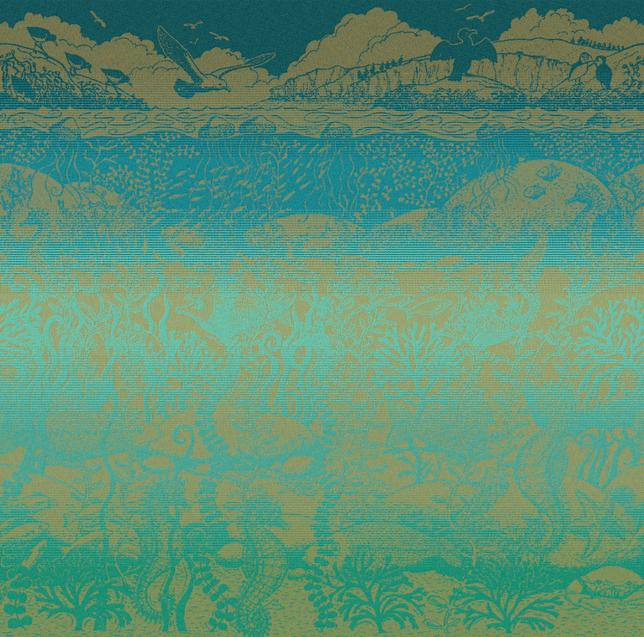 Seaborn ‘Saffron Skies’
