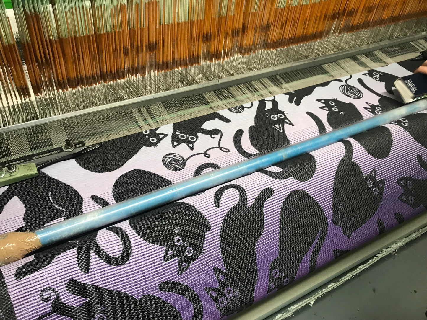 Cutie Cats ‘Dawn’ Brushed Cotton Blanket