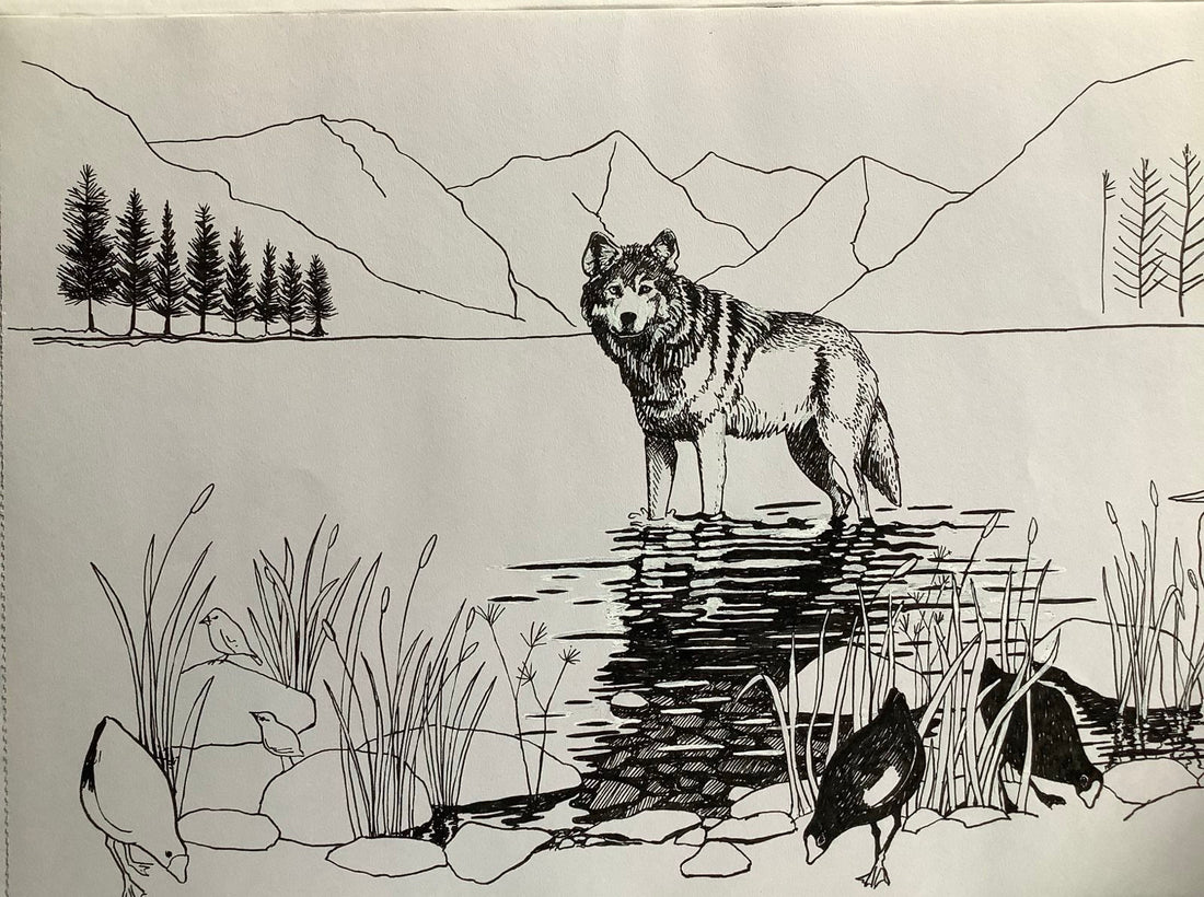 Wolf