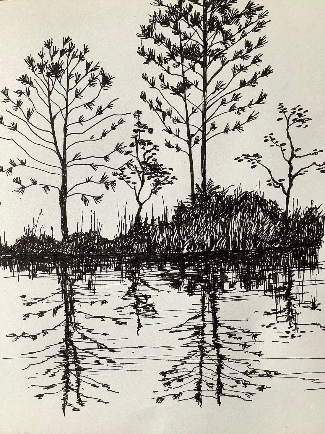 Reflections