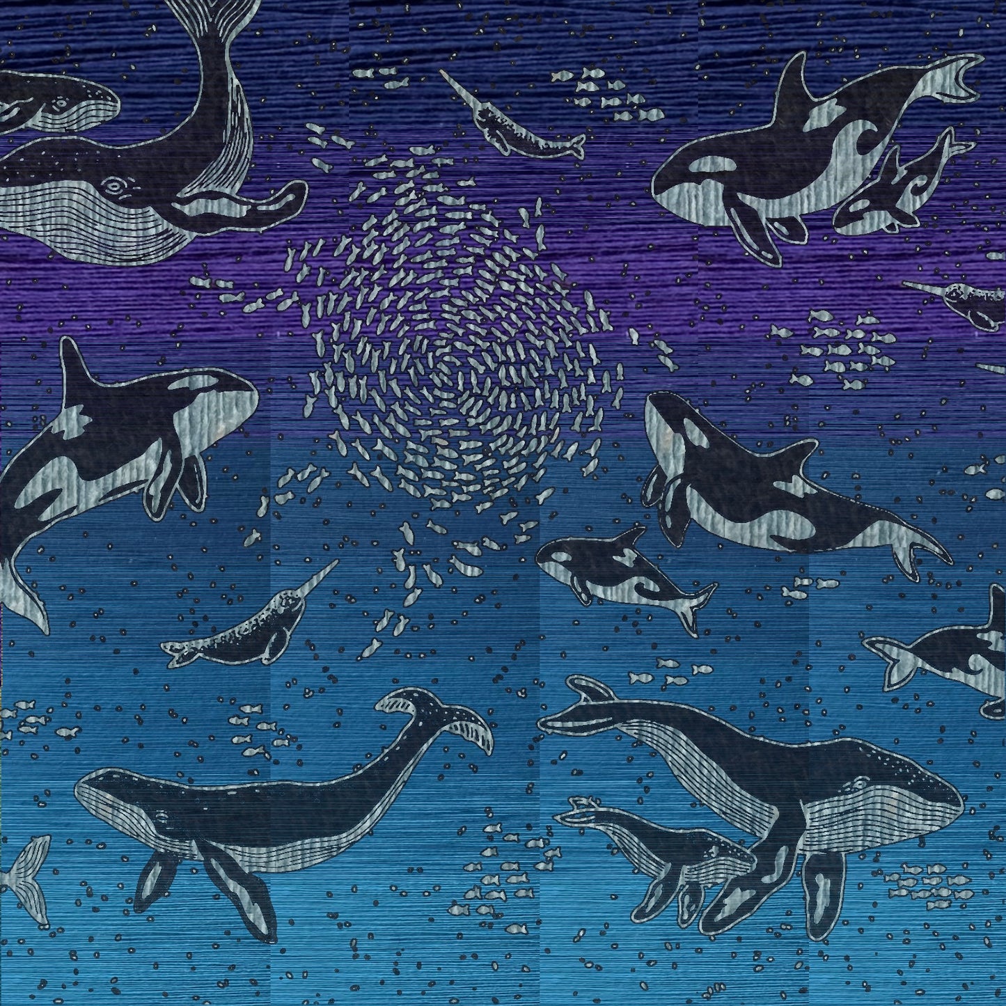 Whales ‘Sea of Clouds’