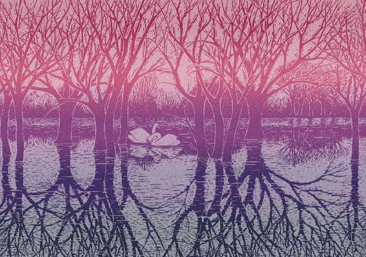 Swan Lake ‘Odette’