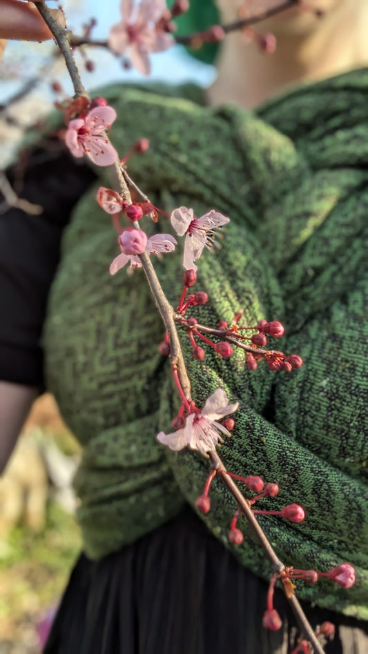 Darlings ‘Parsley and Sage’