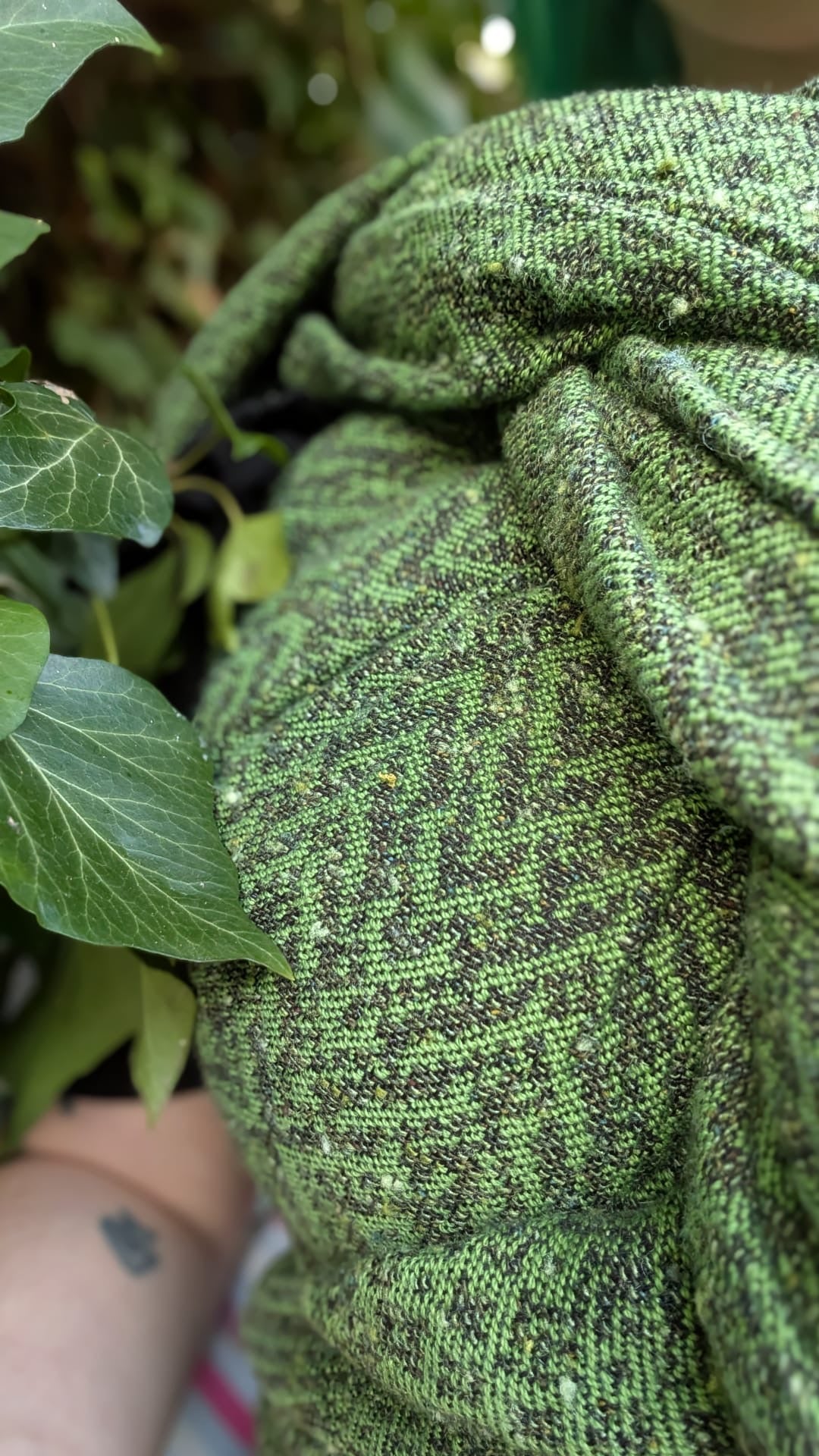 Darlings ‘Parsley and Sage’