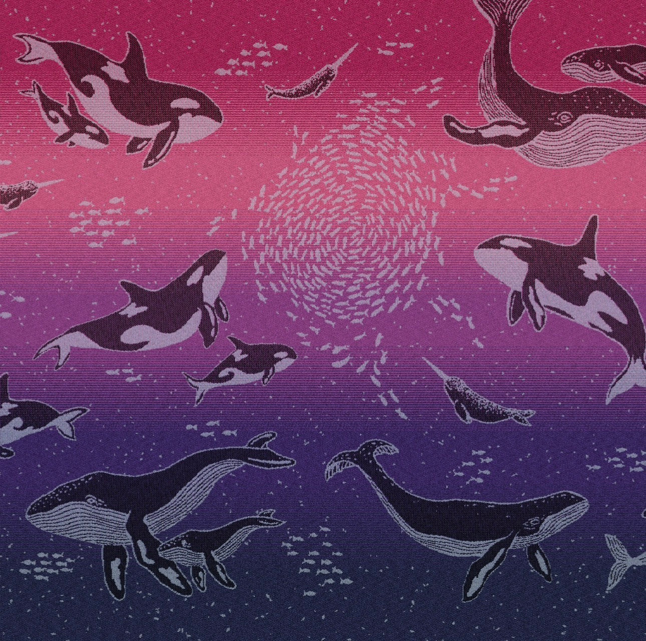 Whales ‘Sea of Nectar’