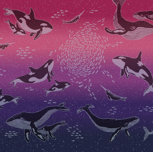 Whales ‘Sea of Nectar’