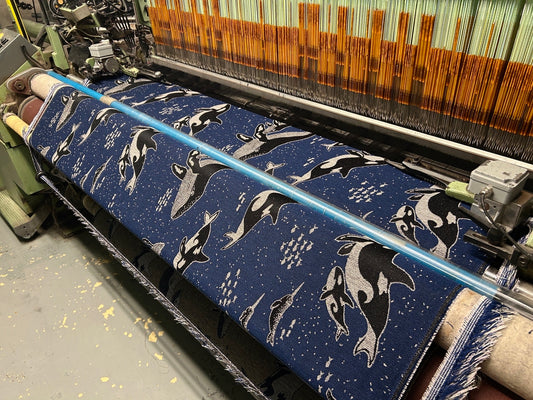 Whales ‘Nocturnal’