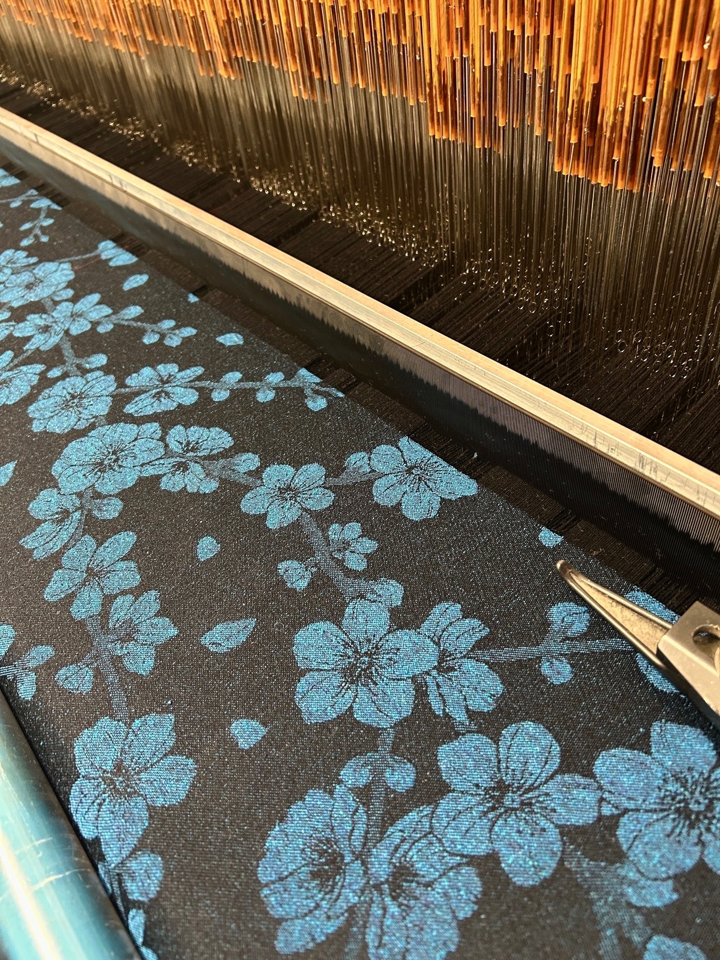 Meihua ‘Prosperity’