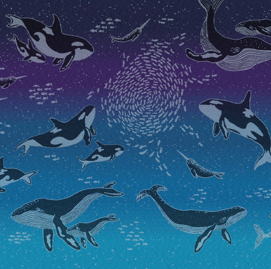 Whales ‘Sea of Clouds’