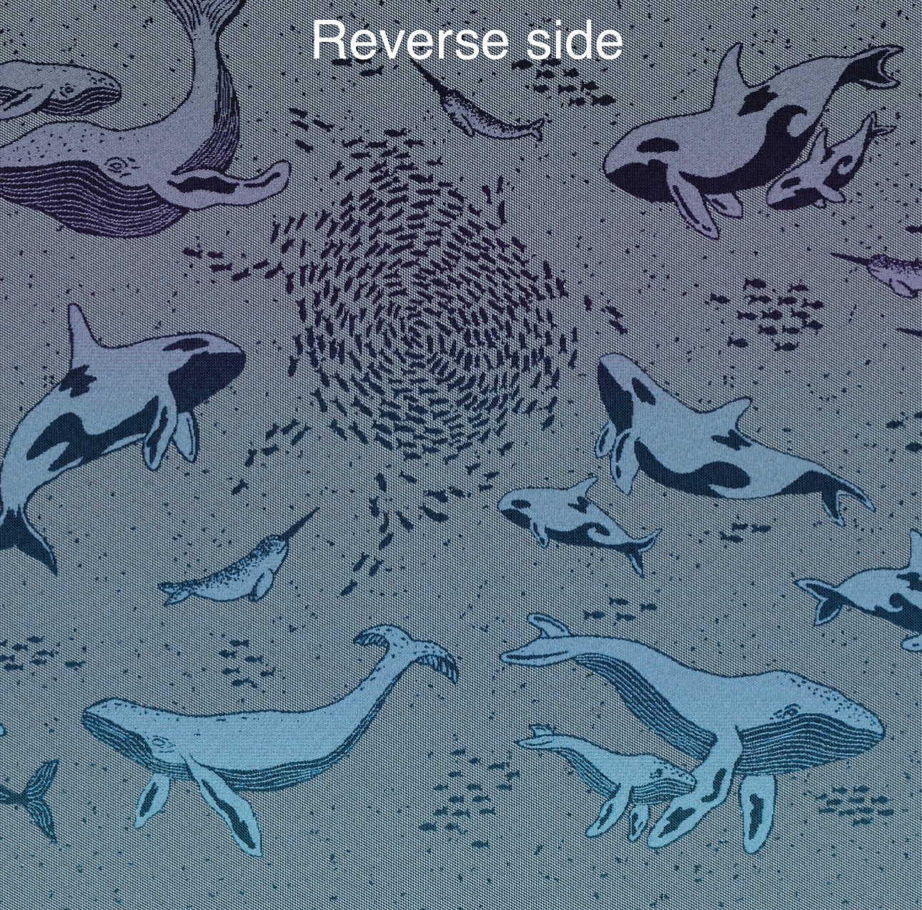 Whales ‘Sea of Clouds’