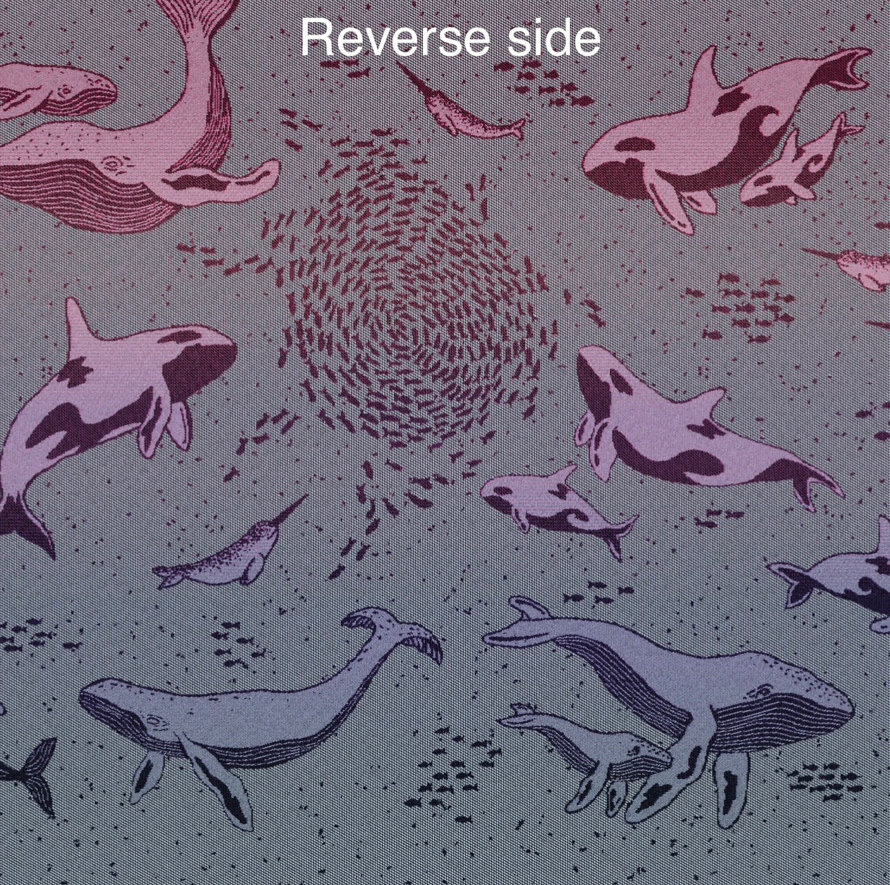 Whales ‘Sea of Nectar’